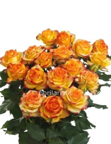 Mazzo di rose arancio